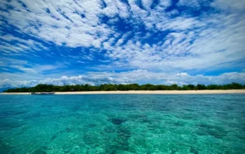 spot snorkeling banyuwangi tabuhan island
