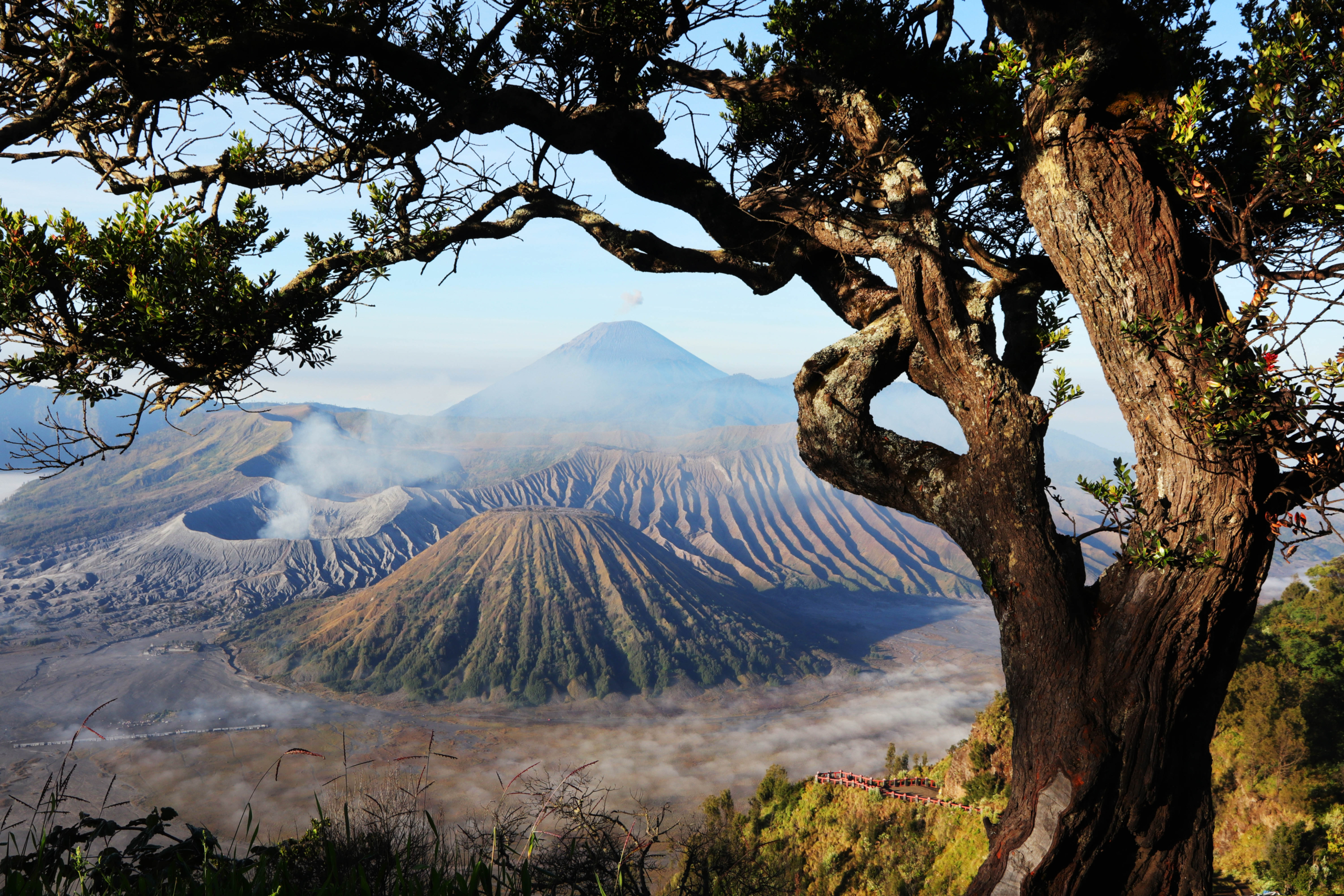 Bromo sunrise tour